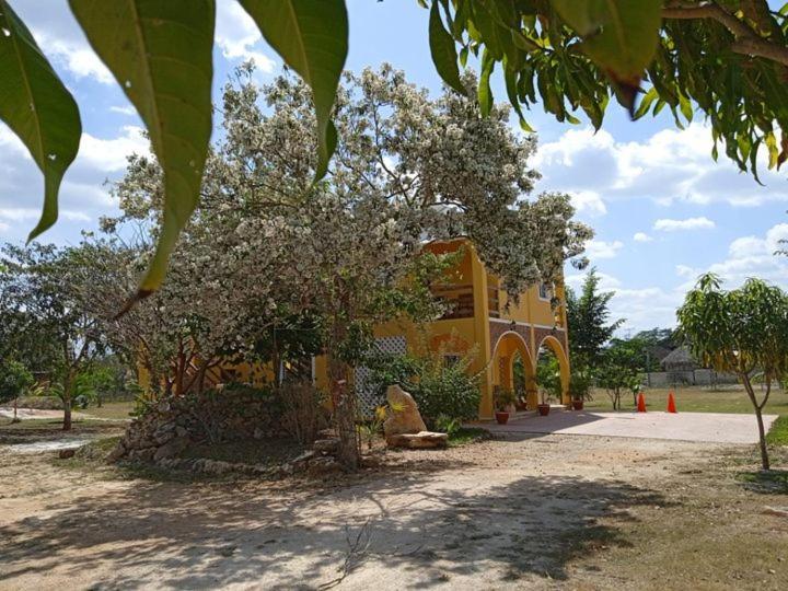 Ecohotel Shalom Valladolid  Eksteriør bilde